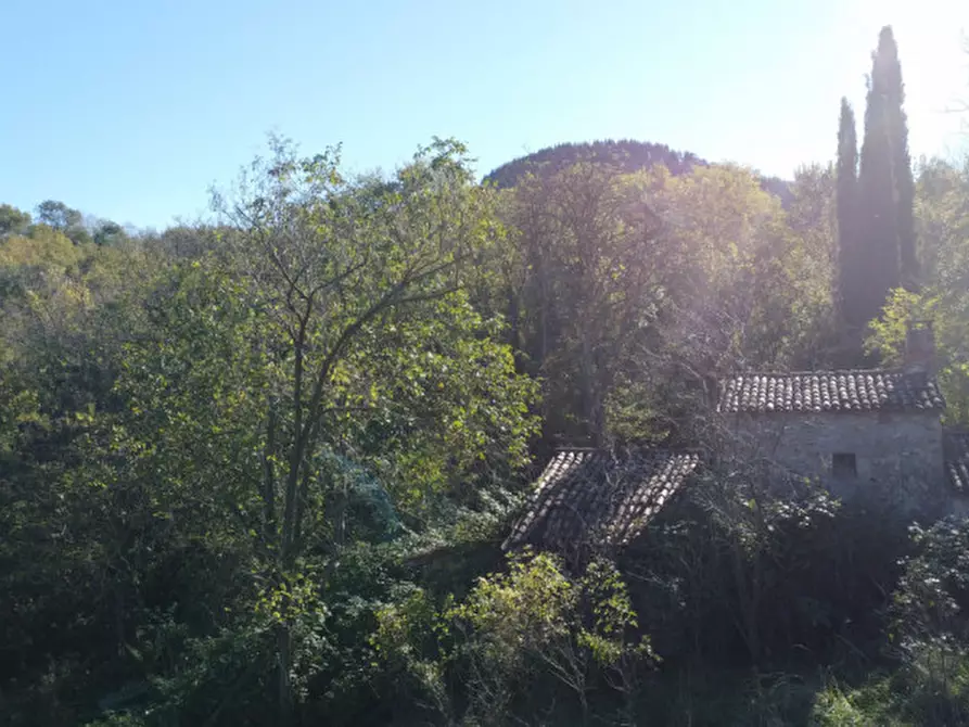 Immagine 8 di Rustico / casale in vendita  in Via Abate Barbieri a Torreglia