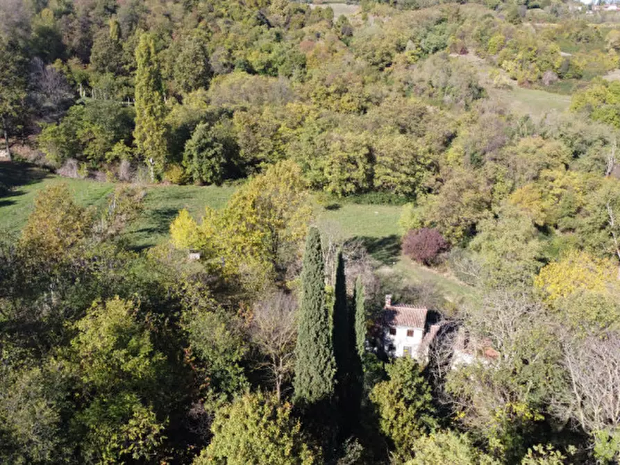 Immagine 13 di Rustico / casale in vendita  in Via Abate Barbieri a Torreglia