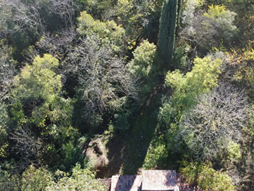 Immagine 15 di Rustico / casale in vendita  in Via Abate Barbieri a Torreglia