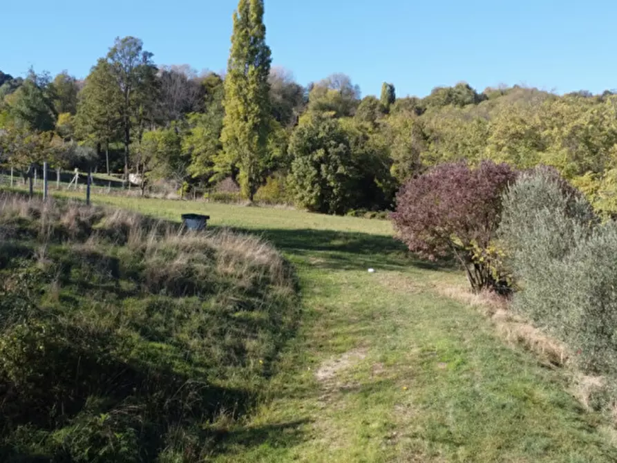 Immagine 16 di Rustico / casale in vendita  in Via Abate Barbieri a Torreglia