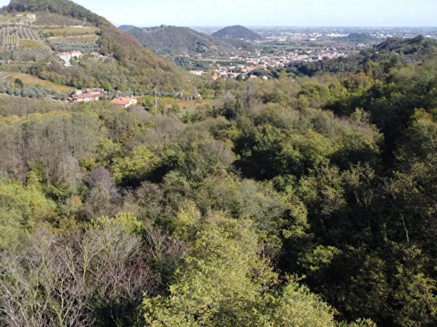 Immagine 17 di Rustico / casale in vendita  in Via Abate Barbieri a Torreglia