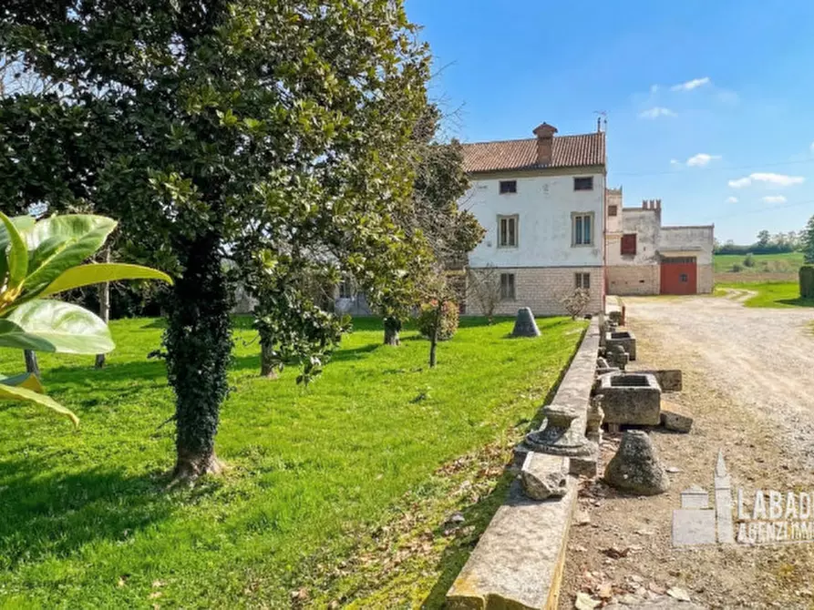 Immagine 8 di Villa in vendita  in Via Este 4 a Masi