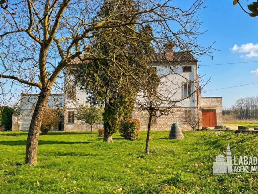 Immagine 13 di Villa in vendita  in Via Este 4 a Masi