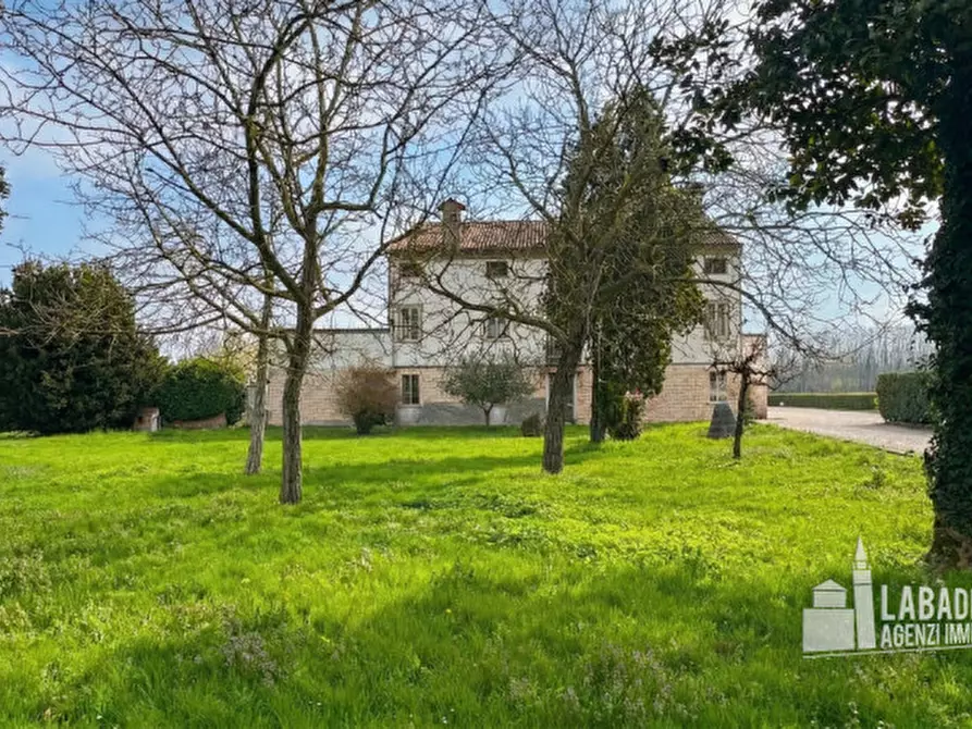 Immagine 16 di Villa in vendita  in Via Este 4 a Masi