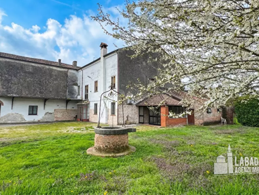 Immagine 35 di Villa in vendita  in Via Este 4 a Masi