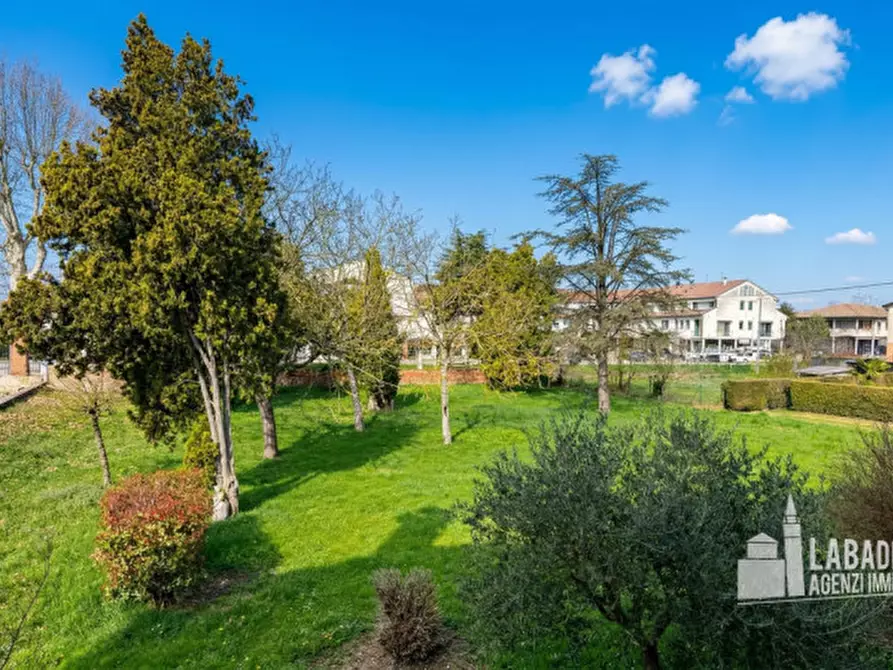 Immagine 47 di Villa in vendita  in Via Este 4 a Masi