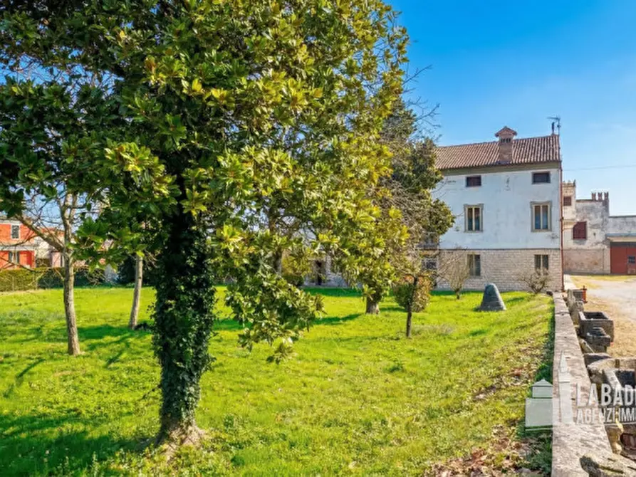 Immagine 59 di Villa in vendita  in Via Este 4 a Masi
