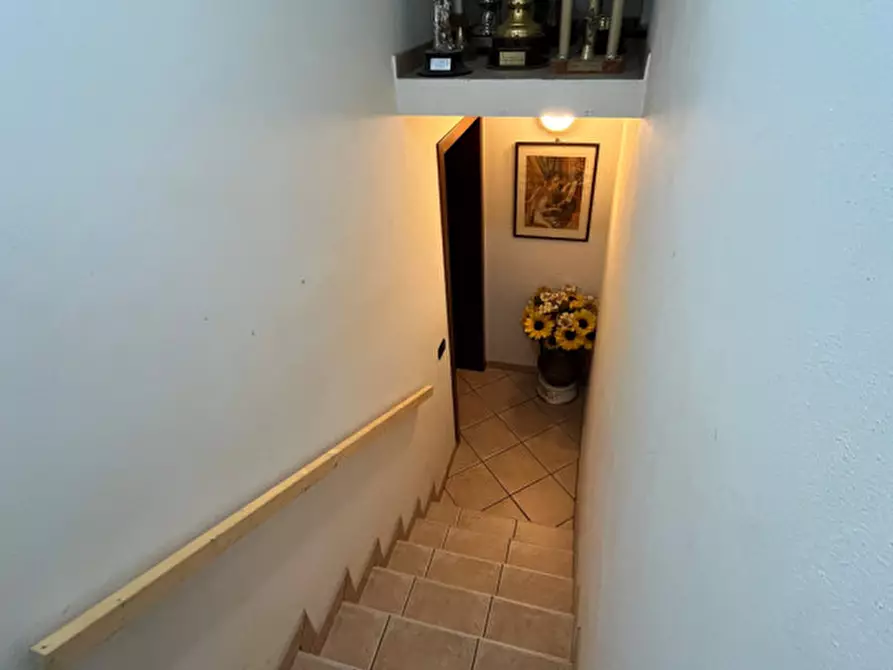 Immagine 16 di Villa in vendita  a Pontecchio Polesine