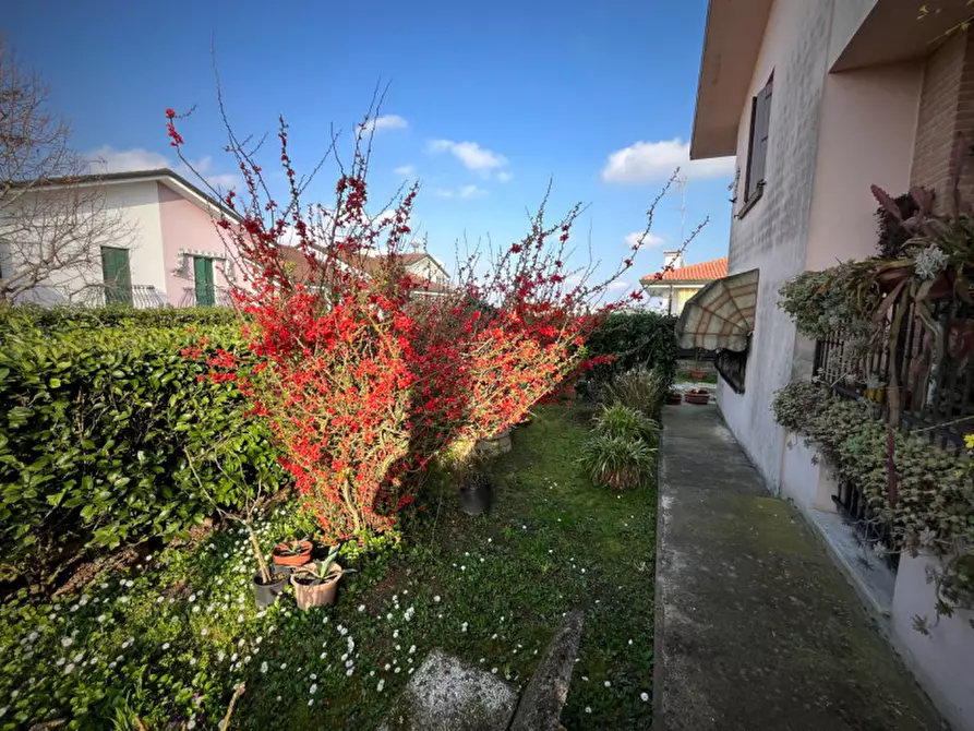 Immagine 26 di Villa in vendita  a Pontecchio Polesine