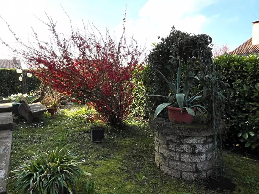 Immagine 27 di Villa in vendita  a Pontecchio Polesine