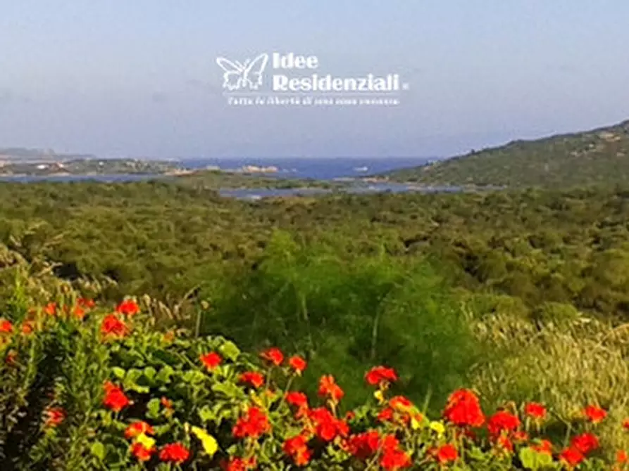 Immagine 2 di Terreno in vendita  in palau a Palau