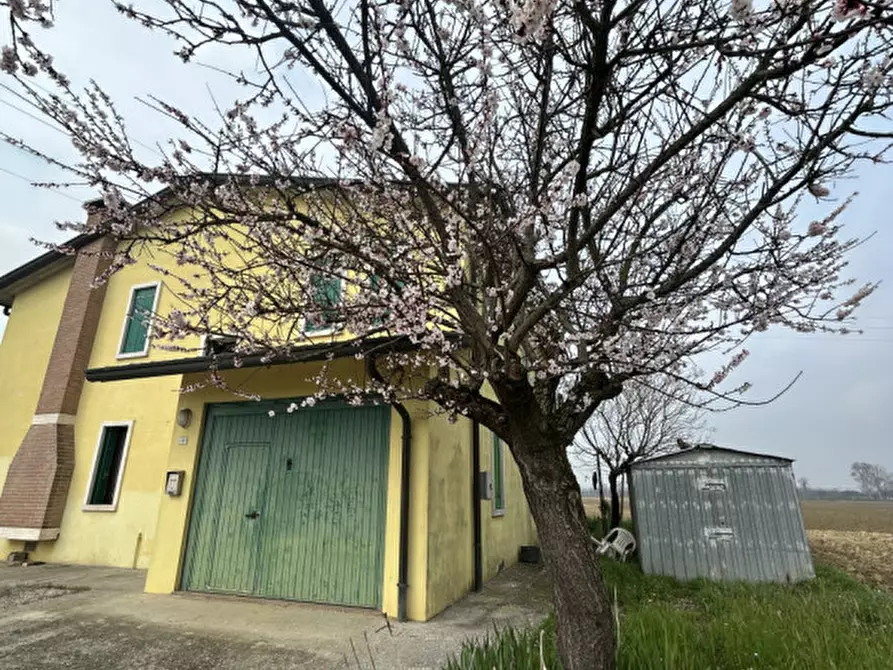 Immagine 2 di Villa in affitto  in Via Roma a Grisignano Di Zocco