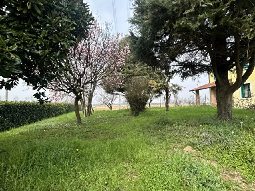 Immagine 11 di Villa in affitto  in Via Roma a Grisignano Di Zocco