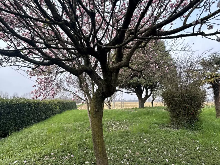 Immagine 12 di Villa in affitto  in Via Roma a Grisignano Di Zocco