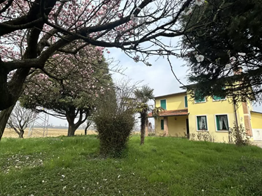 Immagine 13 di Villa in affitto  in Via Roma a Grisignano Di Zocco