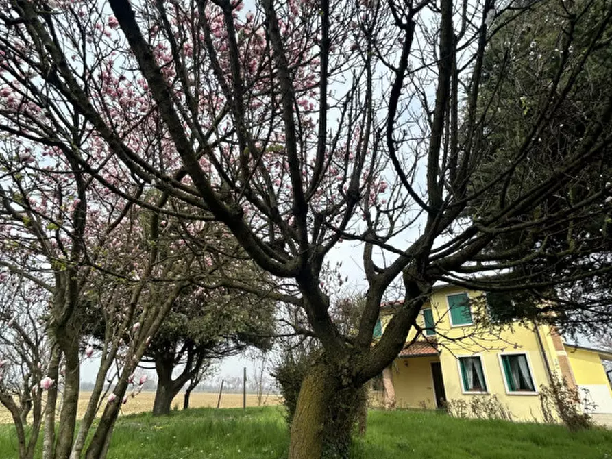 Immagine 23 di Casa indipendente in affitto  in Via Roma a Montegalda