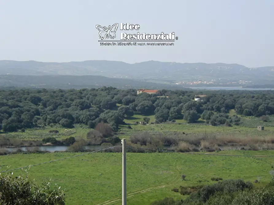 Immagine 3 di Terreno in vendita  a Palau