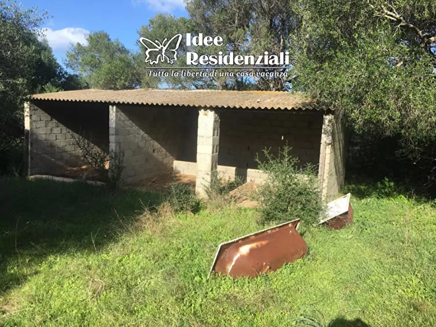 Immagine 7 di Terreno in vendita  a Palau