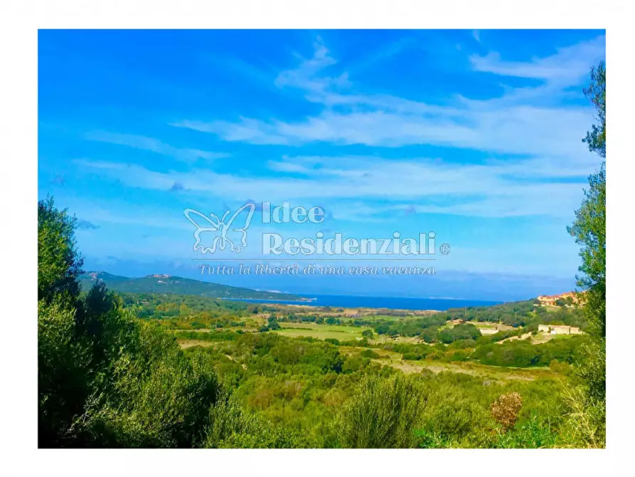 Immagine 15 di Terreno in vendita  a Palau