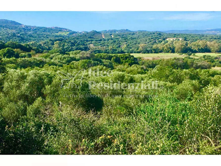 Immagine 16 di Terreno in vendita  a Palau