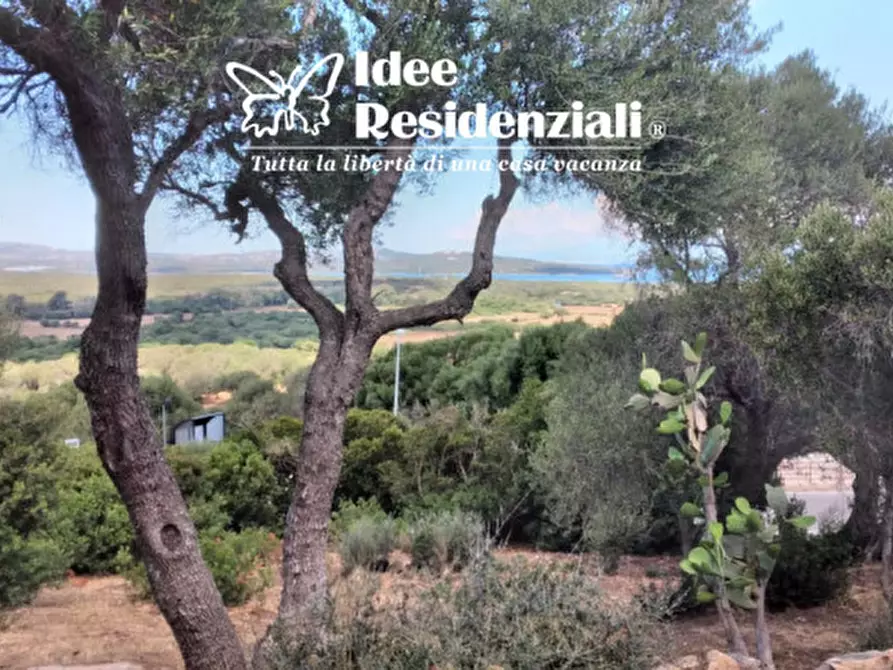Immagine 3 di Casa indipendente in vendita  in capannaccia a Palau