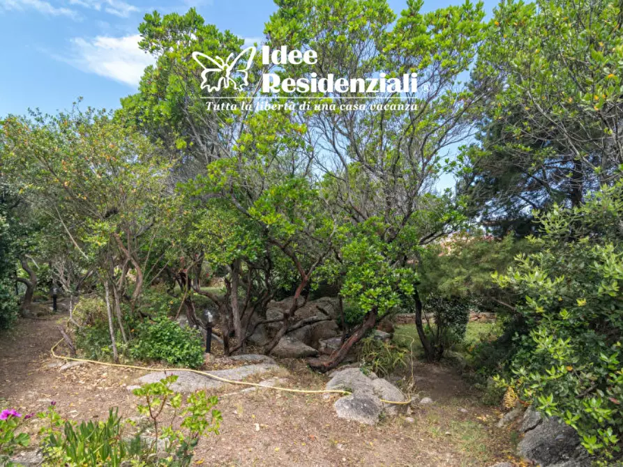 Immagine 19 di Appartamento in vendita  in vecchio marino 5 a Palau