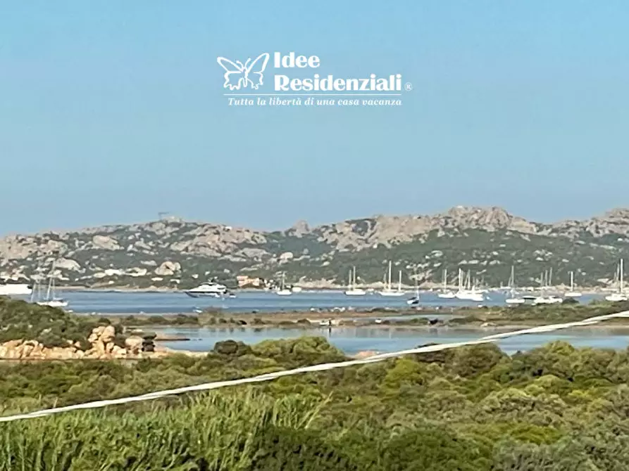 Immagine 5 di Appartamento in vendita  in porto pozzo a Santa Teresa Gallura