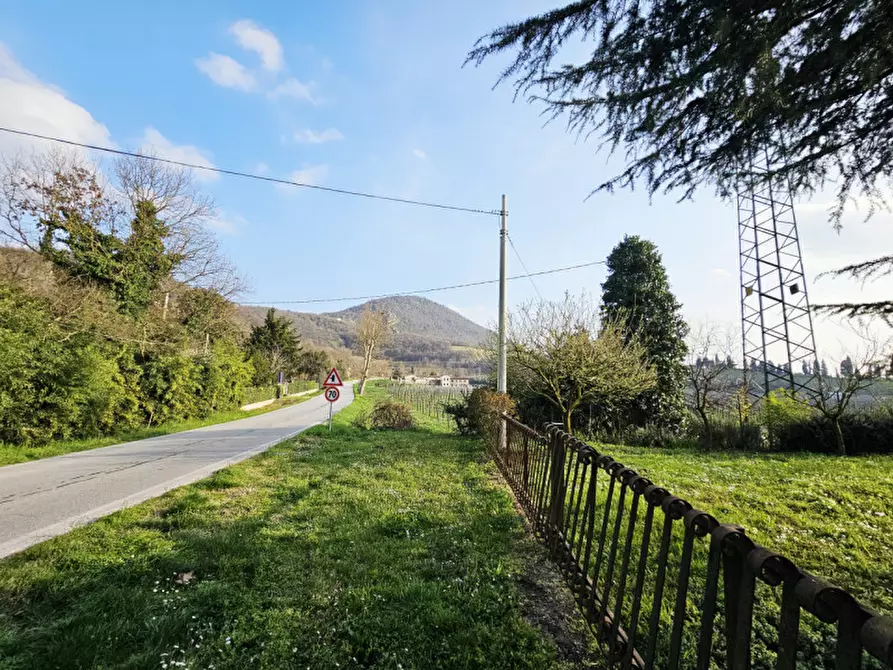 Immagine 2 di Casa bifamiliare in vendita  in Via Bagno a Cinto Euganeo