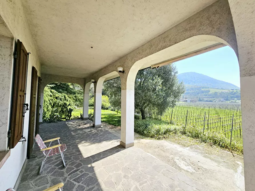 Immagine 2 di Casa bifamiliare in vendita  in Via Bagno a Cinto Euganeo