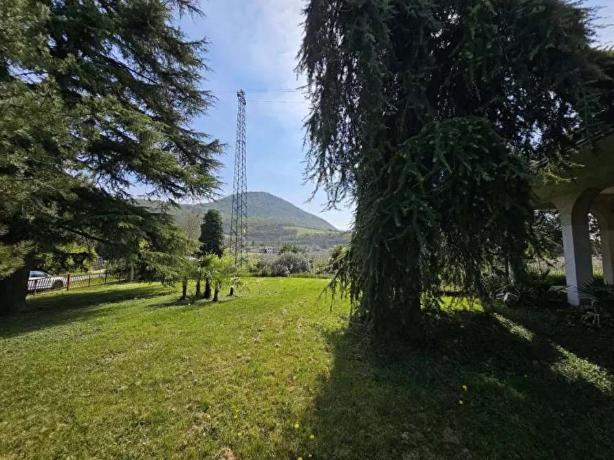 Immagine 17 di Casa bifamiliare in vendita  in Via Bagno a Cinto Euganeo
