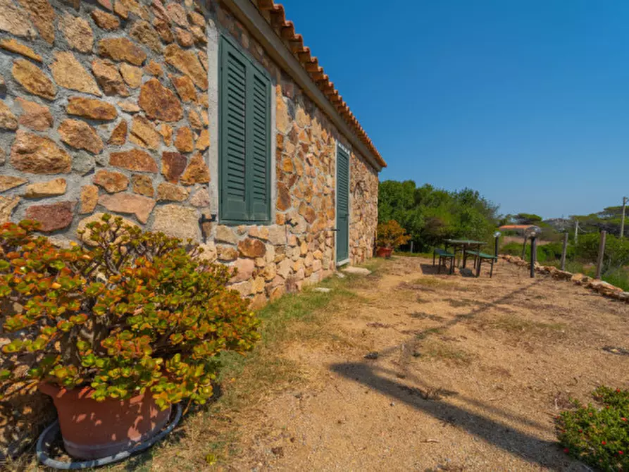 Immagine 2 di Casa indipendente in vendita  in VAL DI MELA a Santa Teresa Gallura