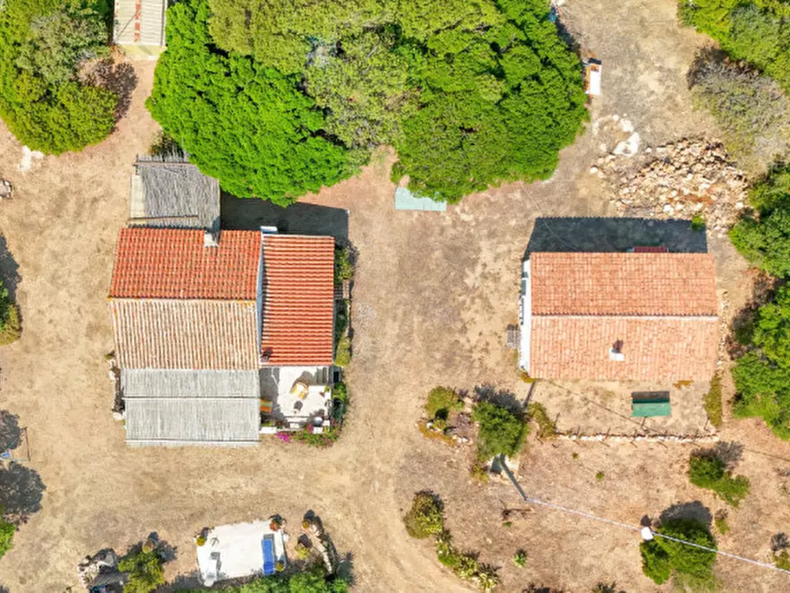Immagine 3 di Casa indipendente in vendita  in VAL DI MELA a Sant'antonio Di Gallura