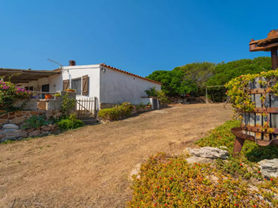Immagine 4 di Casa indipendente in vendita  in VAL DI MELA a Sant'antonio Di Gallura