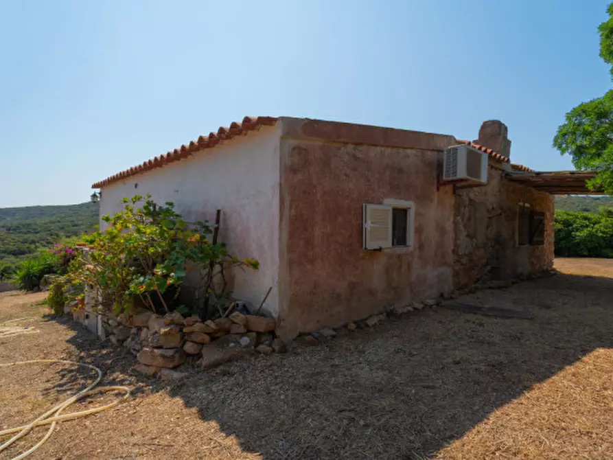 Immagine 6 di Casa indipendente in vendita  in VAL DI MELA a Sant'antonio Di Gallura