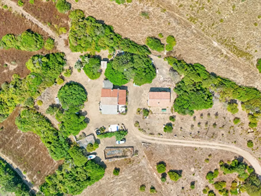 Immagine 11 di Casa indipendente in vendita  in VAL DI MELA a Santa Teresa Gallura