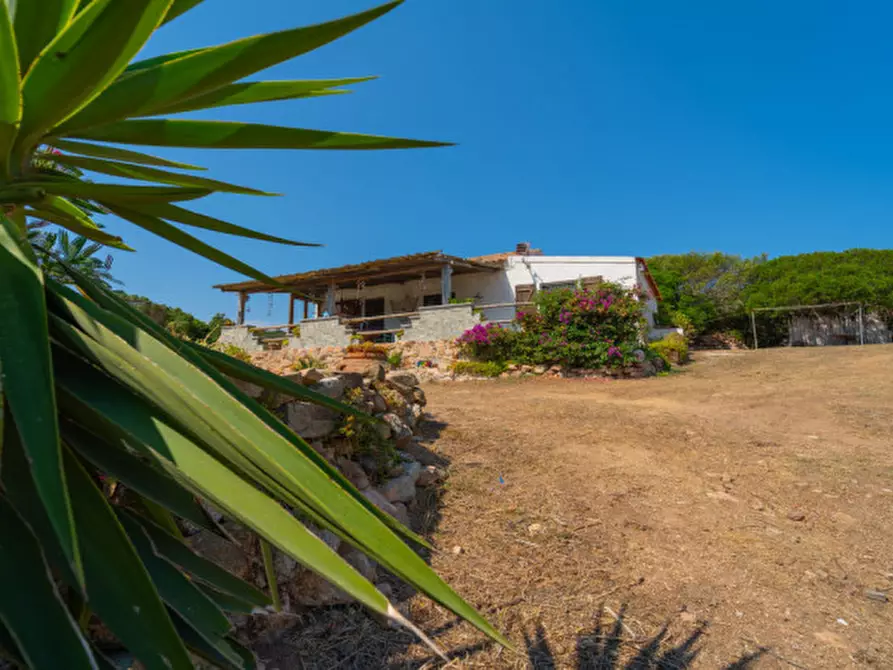 Immagine 12 di Casa indipendente in vendita  in VAL DI MELA a Sant'antonio Di Gallura