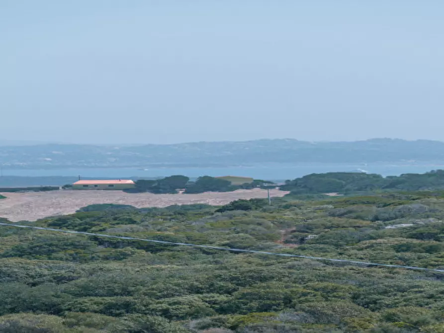 Immagine 62 di Casa indipendente in vendita  in VAL DI MELA a Sant'antonio Di Gallura