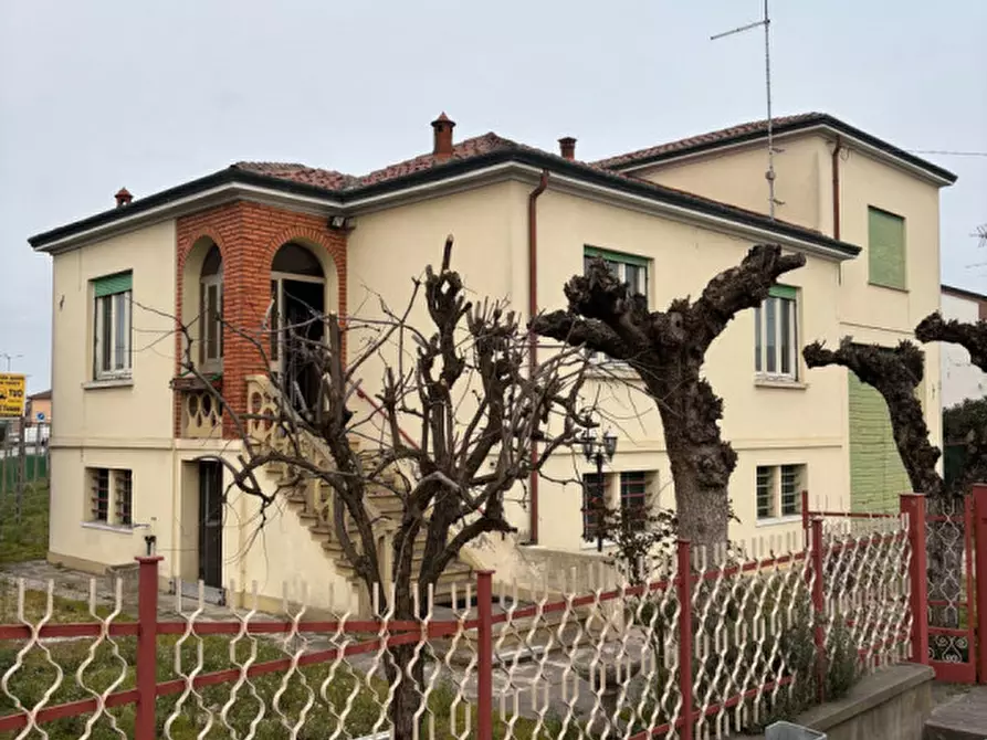 Immagine 3 di Casa indipendente in vendita  a Badia Polesine