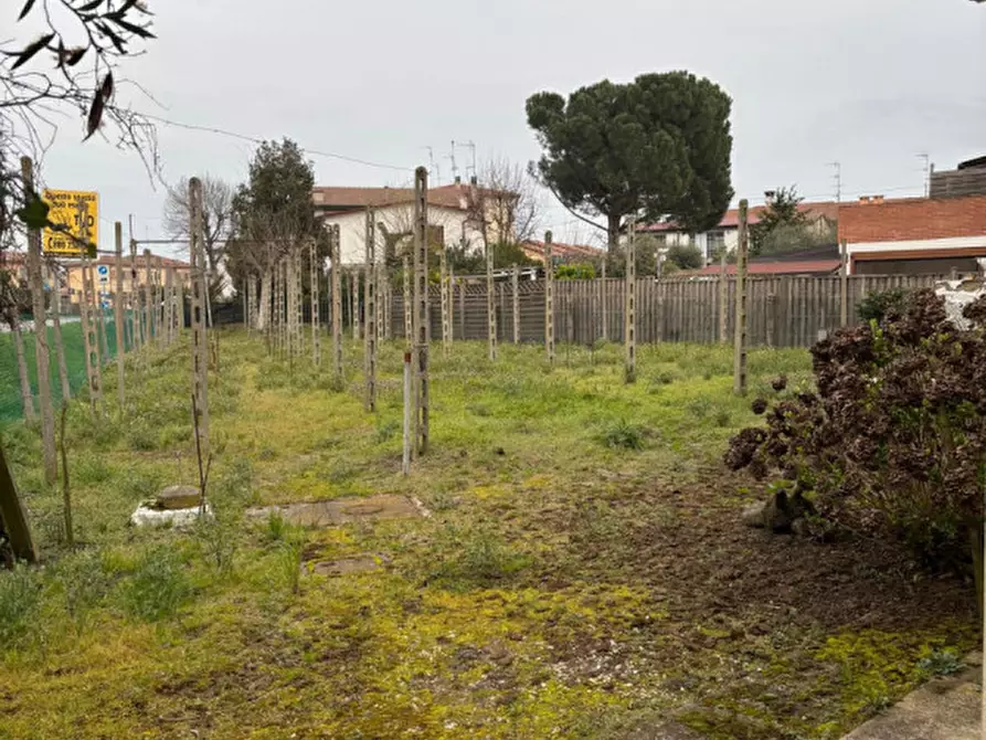 Immagine 5 di Casa indipendente in vendita  a Badia Polesine