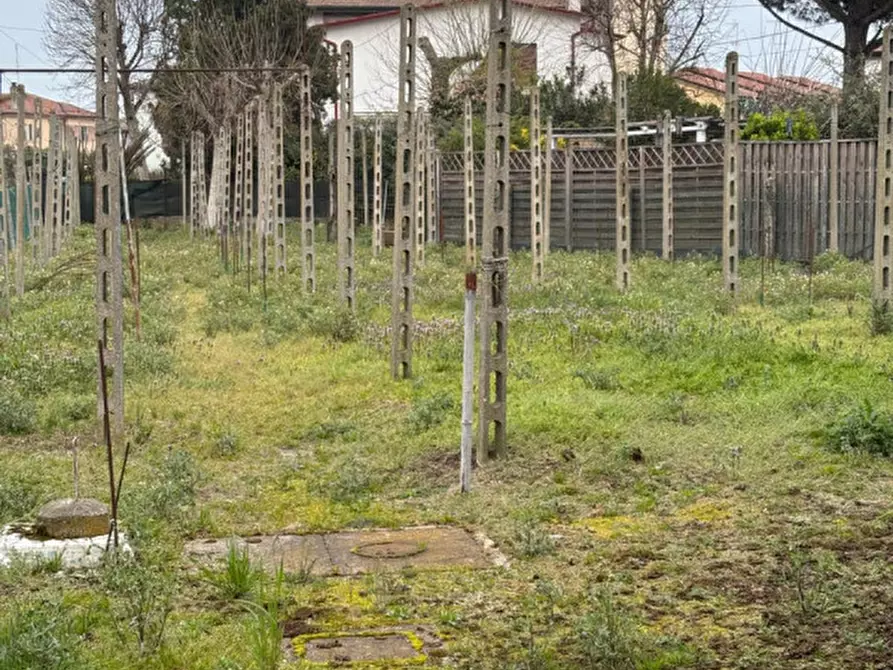Immagine 7 di Casa indipendente in vendita  a Badia Polesine