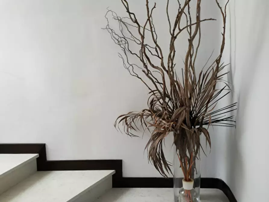 Immagine 9 di Attico in vendita  a Rovigo