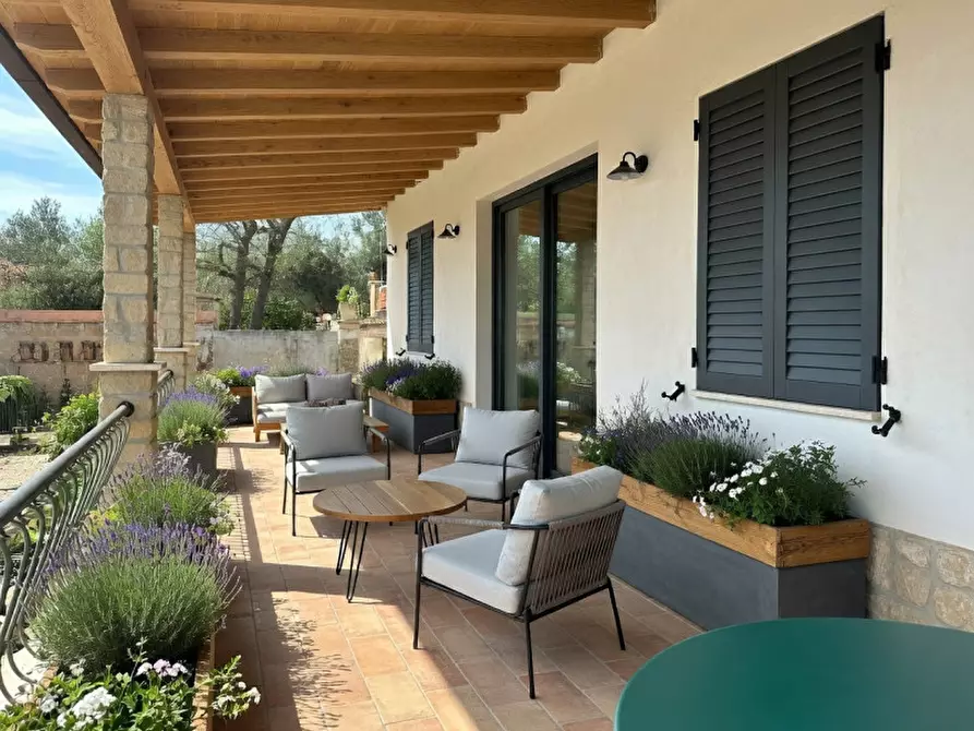 Immagine 8 di Rustico / casale in vendita  in VIA RONCIGLIANO 66 a Albano Laziale