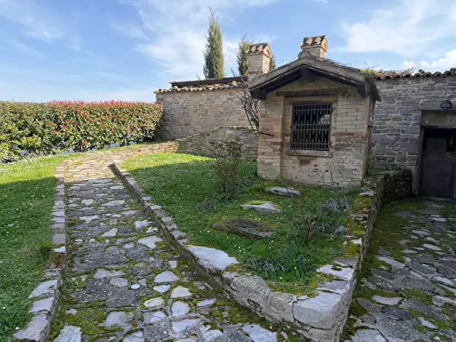 Immagine 3 di Appartamento in vendita  a Sassocorvaro Auditore