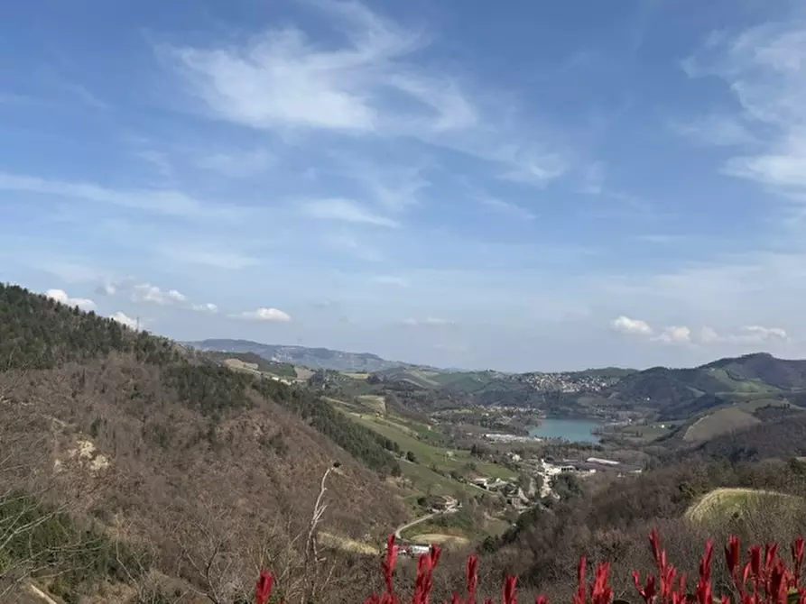 Immagine 7 di Appartamento in vendita  a Sassocorvaro Auditore