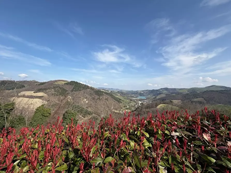 Immagine 29 di Appartamento in vendita  a Sassocorvaro Auditore