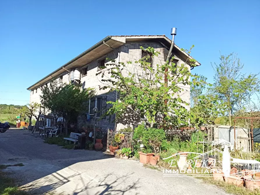 Immagine 3 di Casa indipendente in vendita  in Piana a Castiglione Del Lago