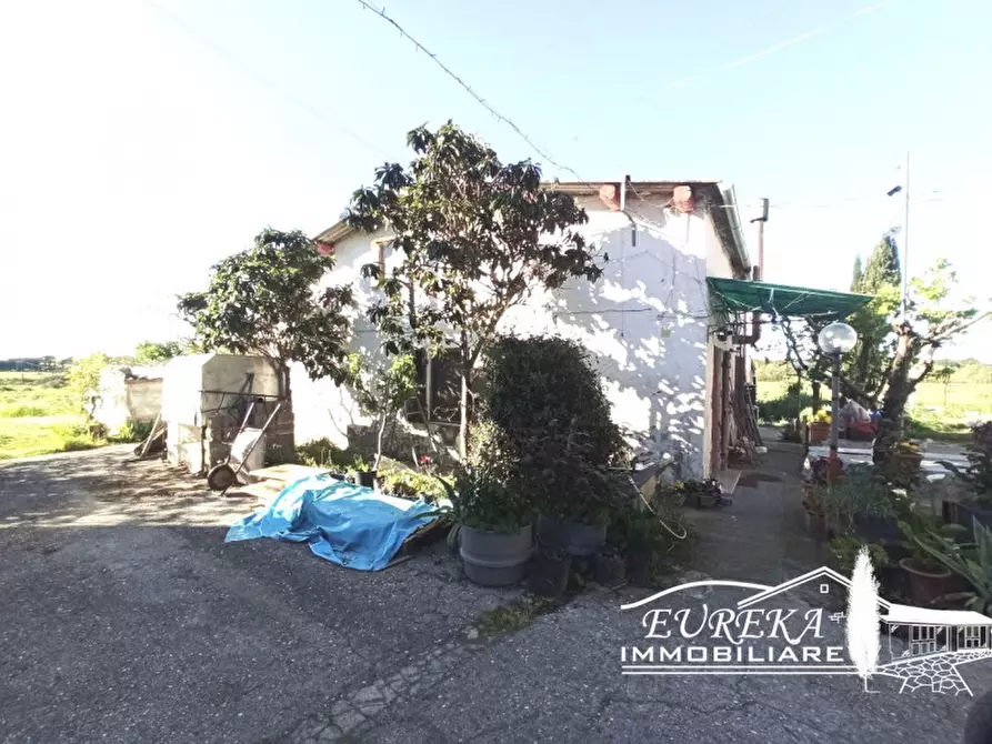 Immagine 5 di Casa indipendente in vendita  in Piana a Castiglione Del Lago