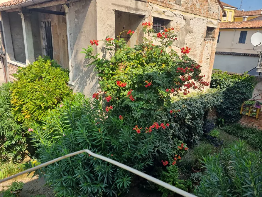 Immagine 4 di Casa indipendente in vendita  a Este