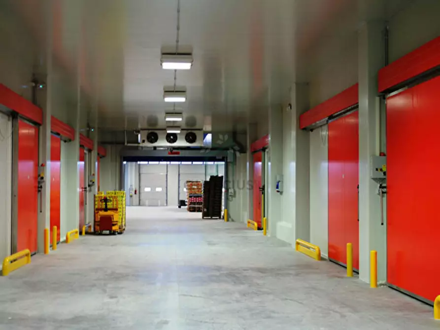 Immagine 1 di Capannone industriale in vendita  in Via Mosche a Legnago