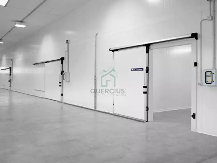 Immagine 3 di Capannone industriale in vendita  in Via Mosche a Legnago